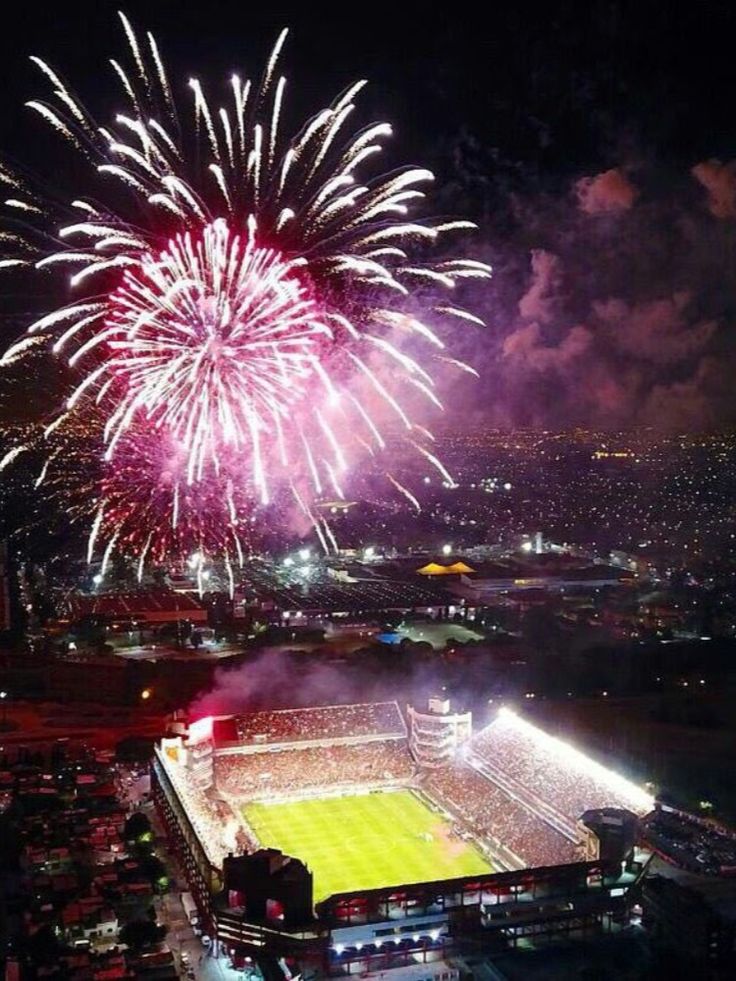 Estadio Libertadores De America